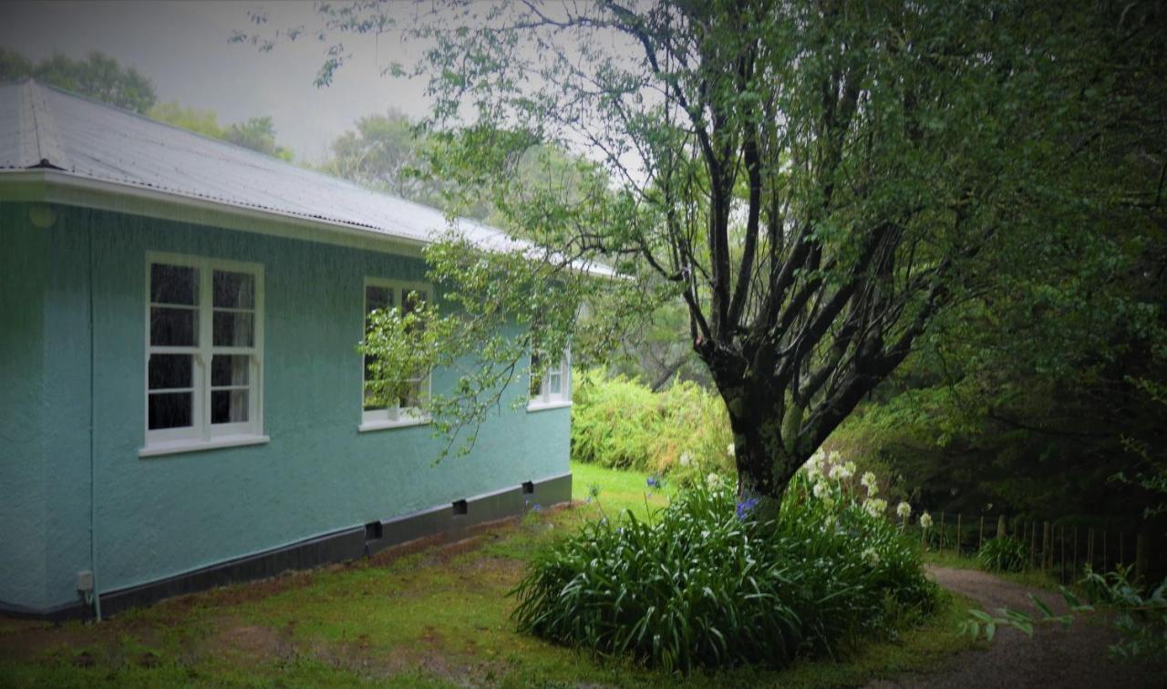 Tinui Food Forest Cottage Whareama Buitenkant foto
